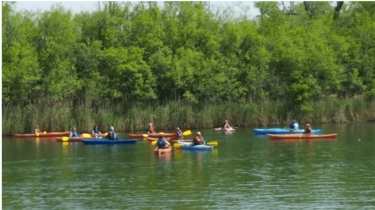 Photo taken from shore of a dozen recreational kayaks of various colors on the pond